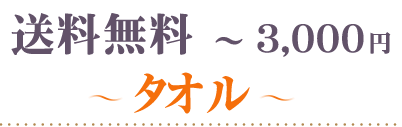 送料無料～3000円タオル