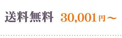 送料込み3万円以上