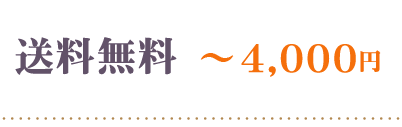 送料込み～4000円