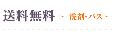 送料無料洗剤
