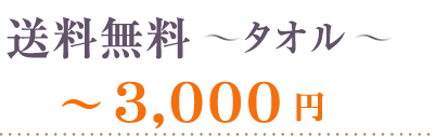 送料無料タオル3000円まで