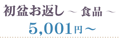 初盆 食品 5001円