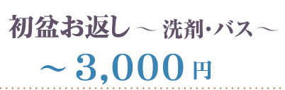 洗剤バス～３０００円