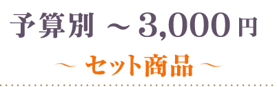 ～3000円セット商品