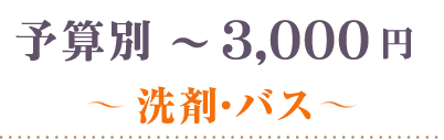 ～3000円洗剤