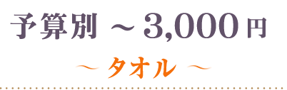～3000円タオル