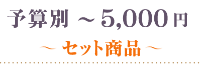～5000円セット商品