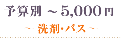 ～5000円洗剤