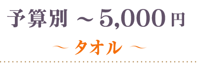 ～5000円タオル