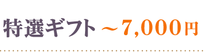 特選ギフト7000円